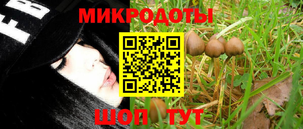 Псилоцибиновые грибы Cubensis Орехово-Зуево