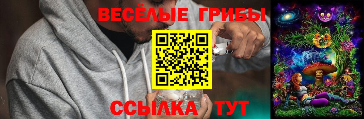 Орехово-Зуево  Галлюциногенные грибы прущие грибы  Галлюциногенные грибы MAGIC MUSHROOMS  Вход с VPN 